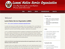 Tablet Screenshot of lumminationservice.org